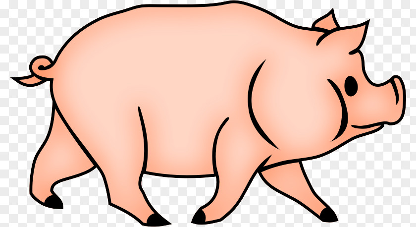 Pig Clipart Domestic Clip Art Drawing Coloring Book PNG