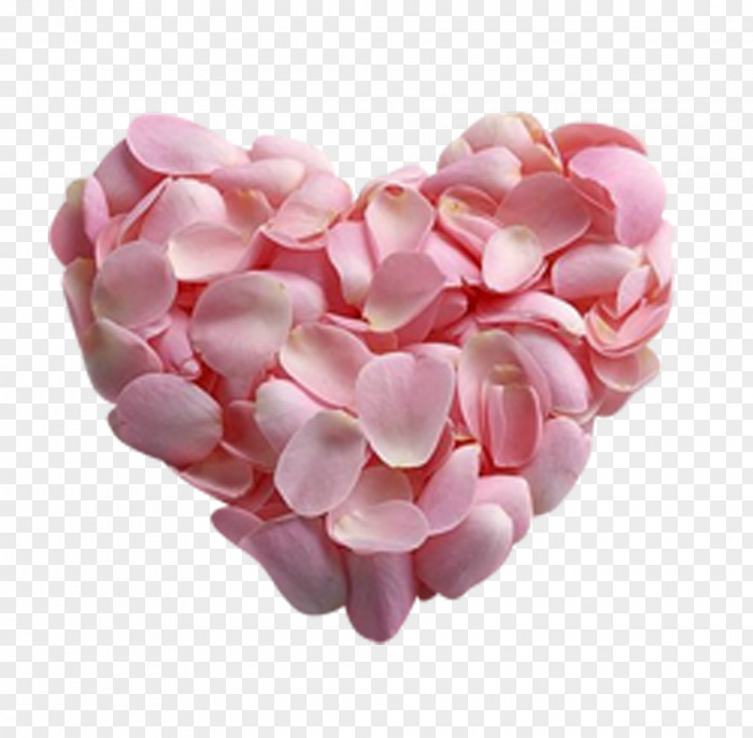 Rose Petal Pink Flower Heart PNG