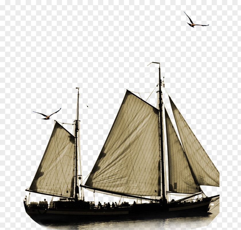 Sail Material PNG