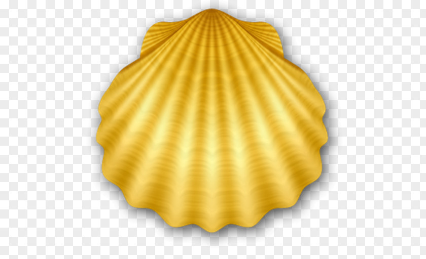 Seashell Pearl Internet Media Type PNG