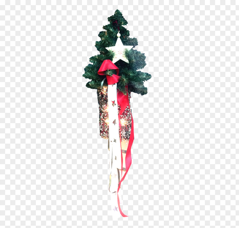 Star Christmas Tree New Year PNG