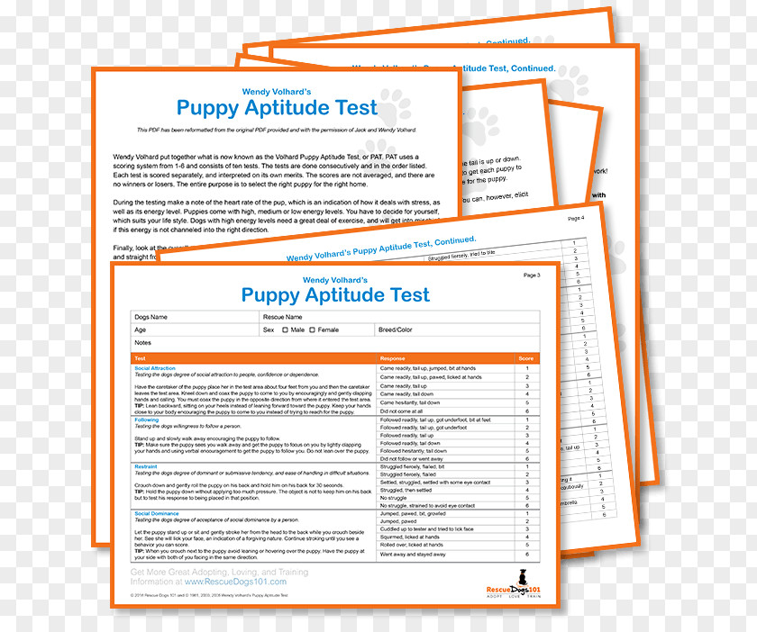 Dog Rescue Puppy Temperament Test Adoption PNG