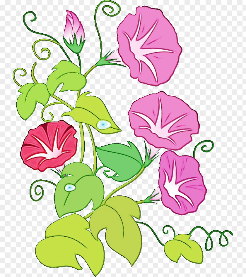 Floral Design PNG