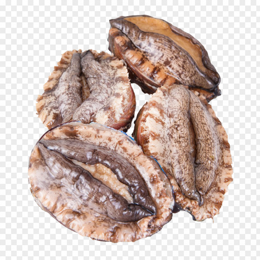 Live Frozen Abalone Seafood Mooncake PNG