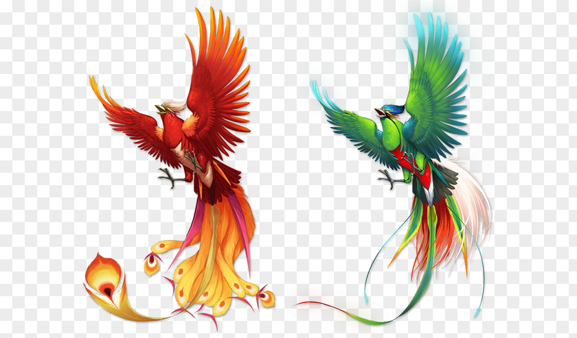 Phoenix Color Pattern Bird Fenghuang PNG