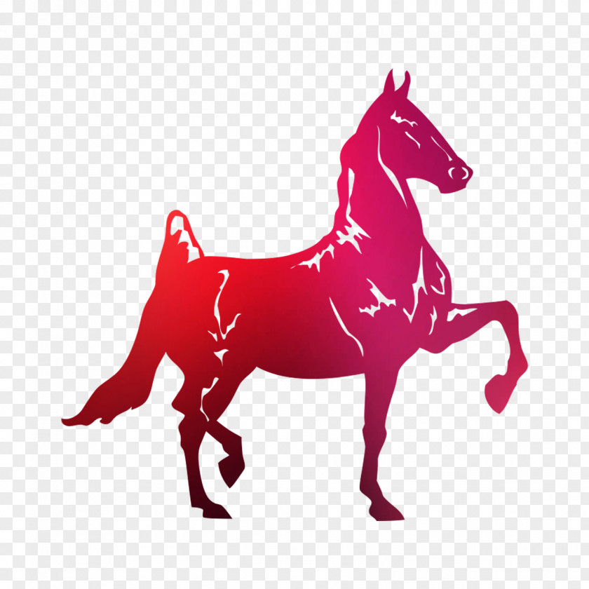 American Saddlebred Paint Horse Vector Graphics Quarter Gift PNG