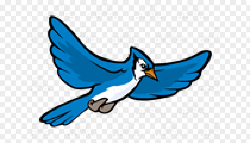 Bluejay Streamer Blue Jay Clip Art Illustration Vector Graphics PNG