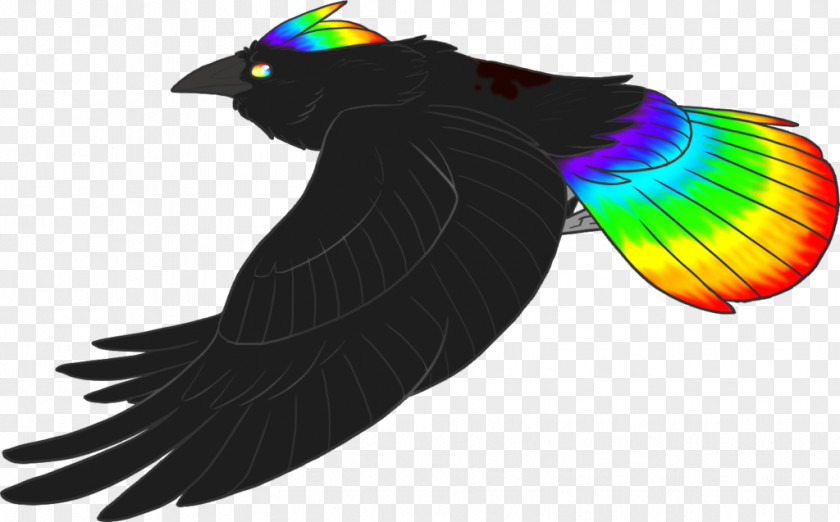 Cat Feather Beak PNG