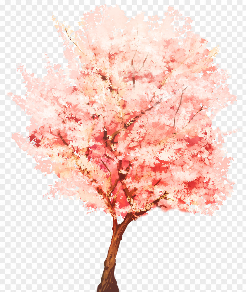Cherry Blossom Watercolor Tree SketchUp Plant Webtoon Painting PNG