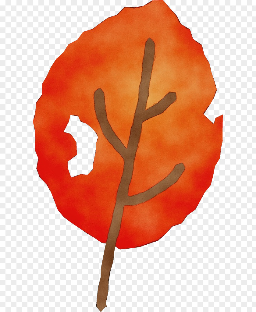 Coquelicot Plant Orange PNG