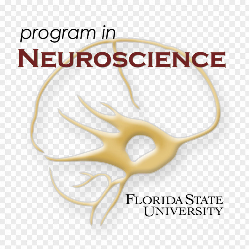 Florida State University Research Neuroscience Biology PNG