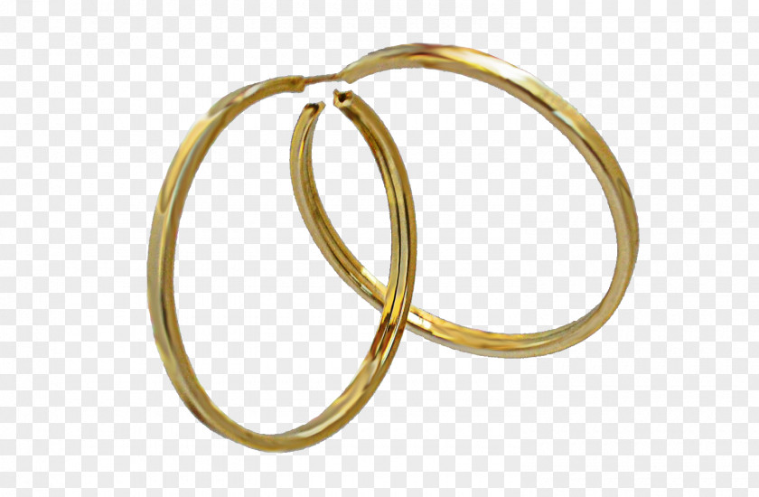 Ring Earring Jewellery Jograu Wedding PNG