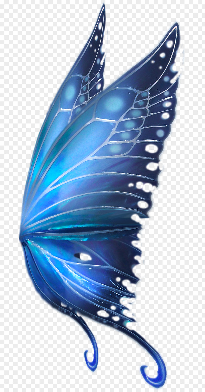 Blue Butterfly Drawing Fairy Bird PNG