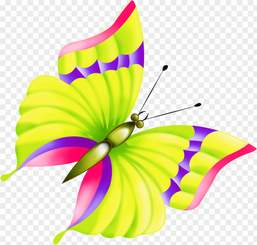 Butterfly Clip Art PNG