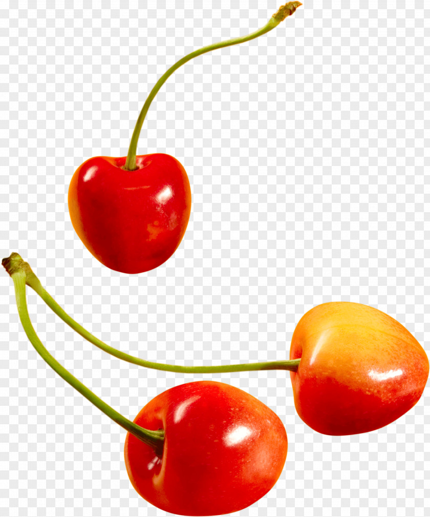 Cherry Image Sweet Cerasus Icon PNG