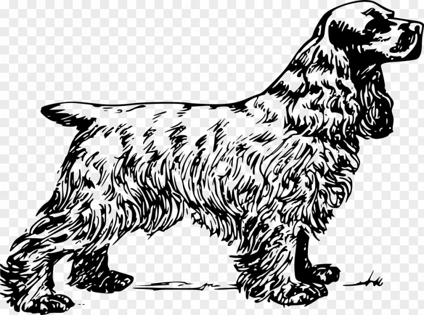 Cocker Spaniel English American King Charles Clip Art PNG