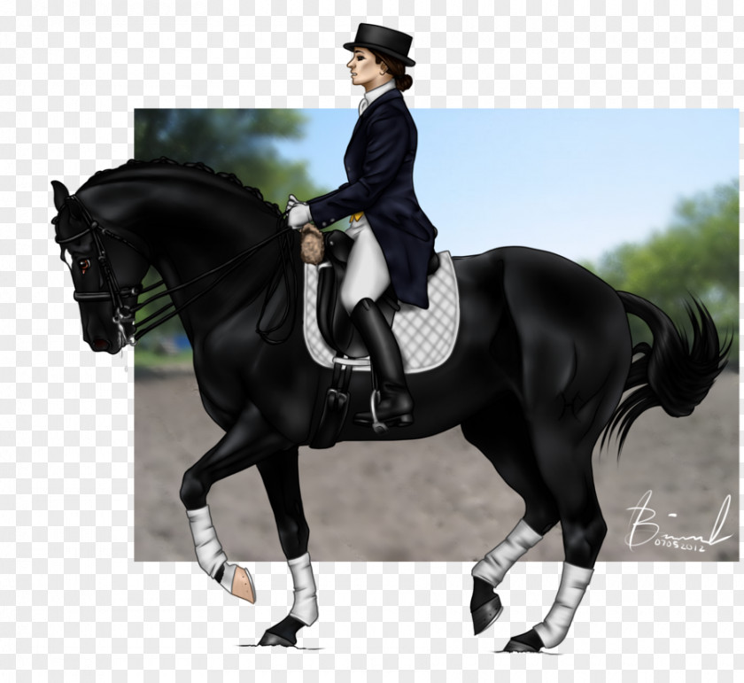 Horse Hunt Seat Stallion Rein Equestrian PNG