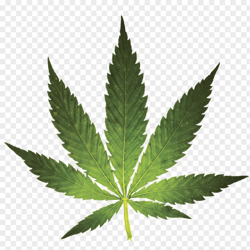 Cannabis Medical Marijuana Sativa Smoking PNG