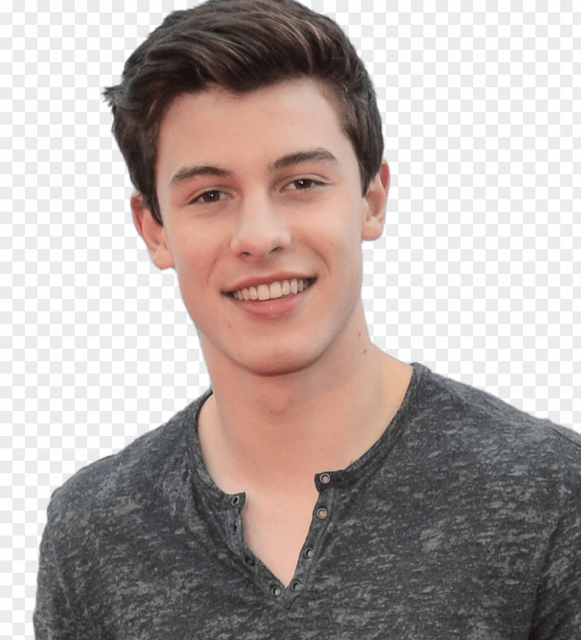 Hair Shawn Mendes Hairstyle Model Beard PNG