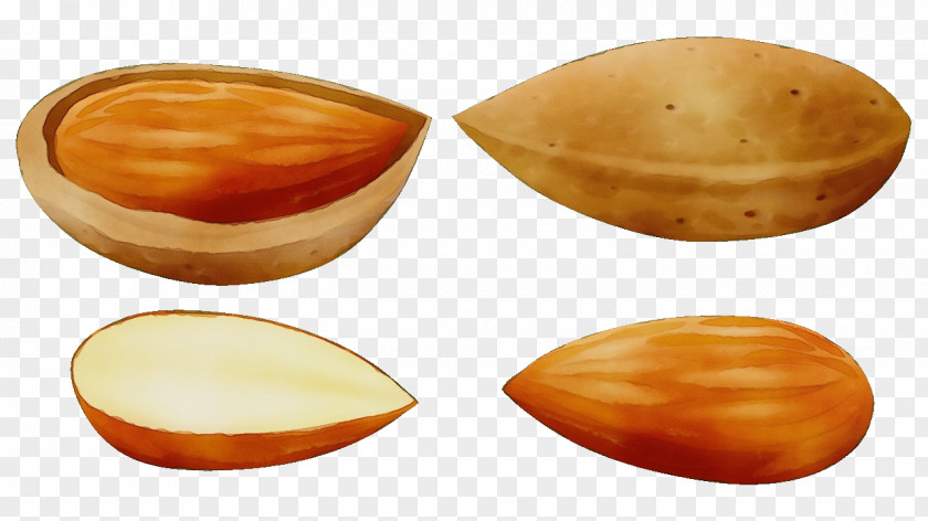 Clam Caramel Color Food Bivalve PNG