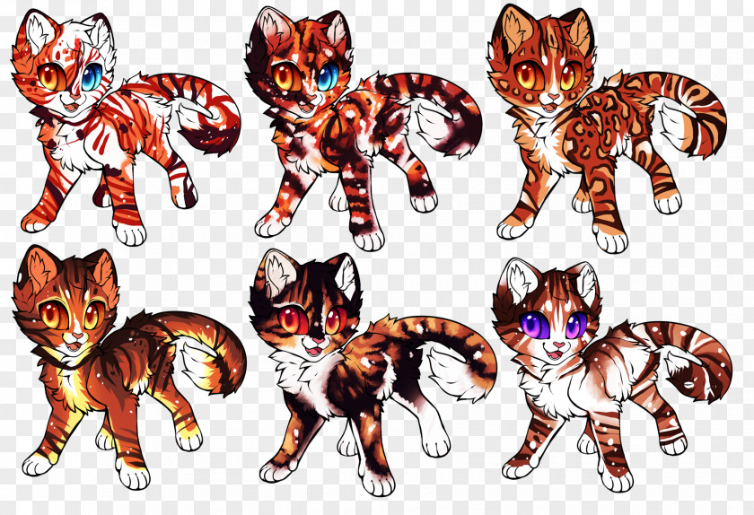 Crazy Cat Kitten Tiger Mammal Canidae PNG