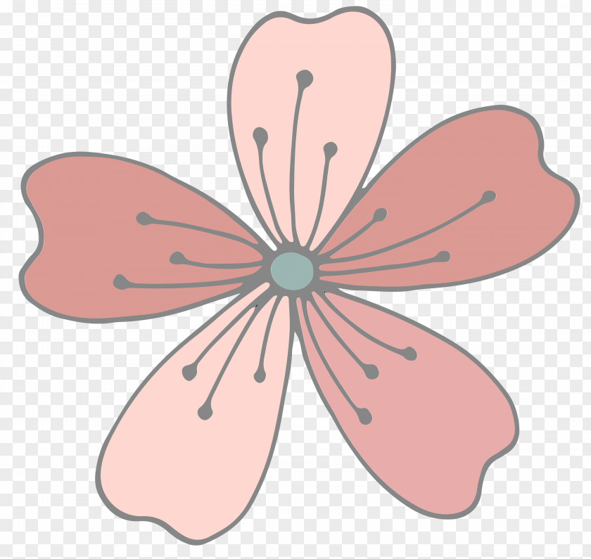 Design Flowering Plant Line Clip Art PNG