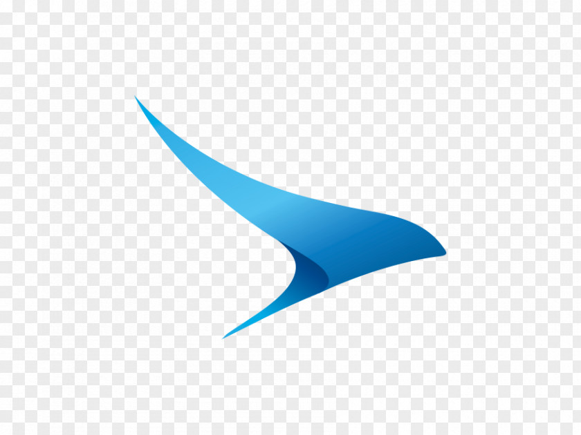 Hainan Element Logo Flight TAME Airline KLM PNG