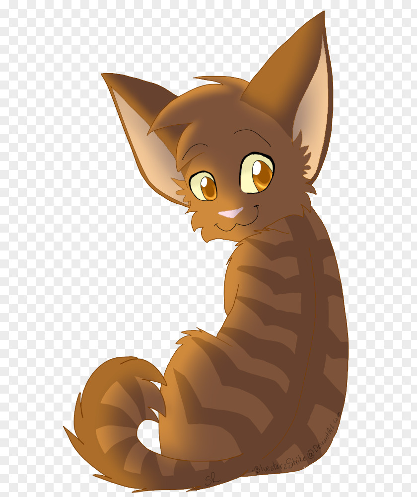 Kitten Whiskers Cat Brackenfur Warriors PNG