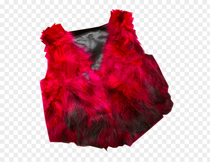 Ladies Fur Dye PNG