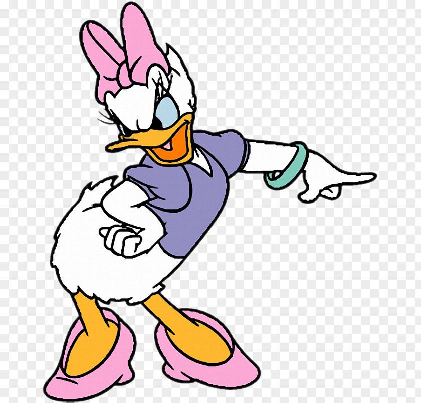 Duck Daisy Beak Goose Bird PNG