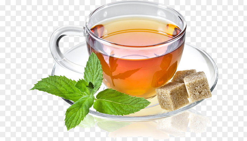 Mint Tea Earl Grey Mate Cocido Green Oolong PNG