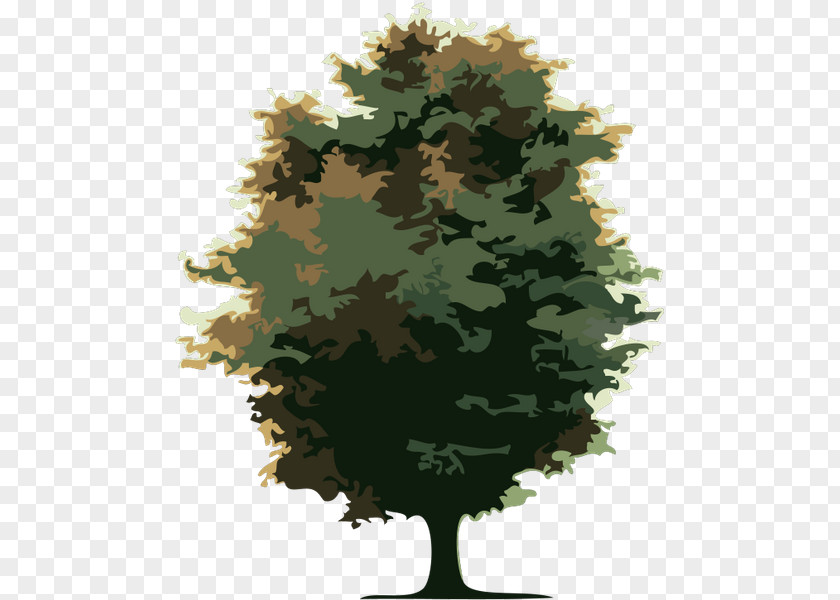 Tree Cdr PNG