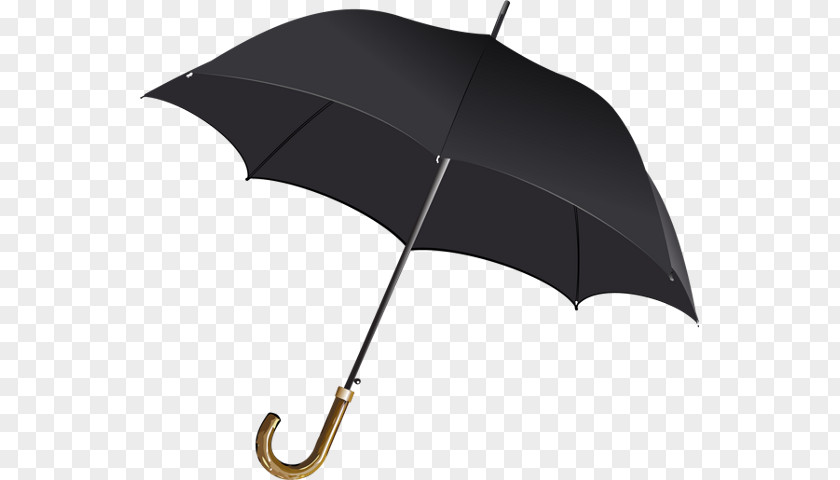 Umbrella Clip Art Transparency Image Openclipart PNG