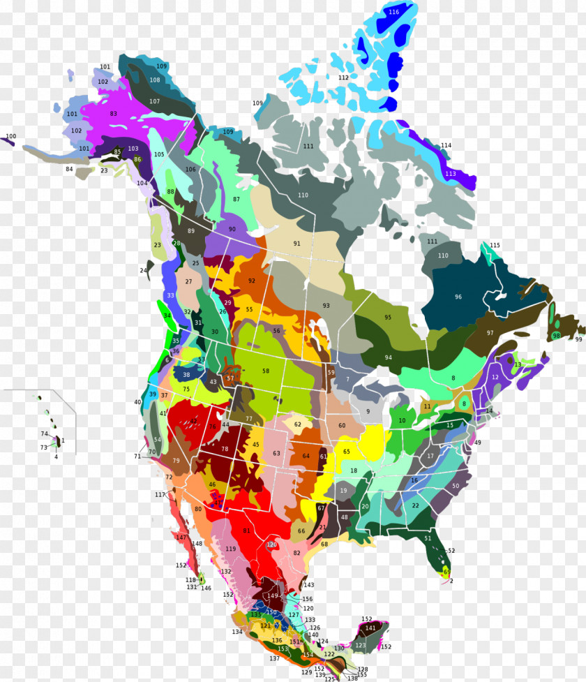 United States Canada Terrestrial Ecoregions Of North America: A Conservation Assessment Ecology PNG