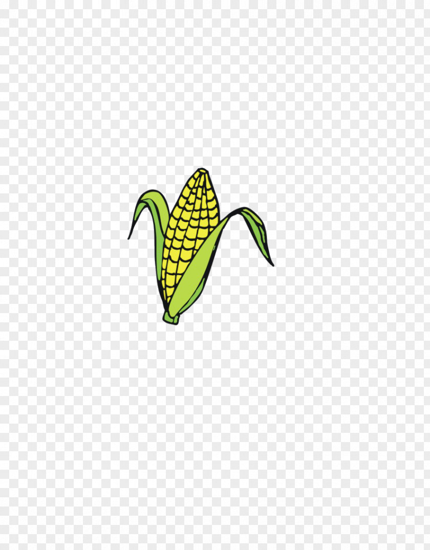 Corn Maize Icon PNG