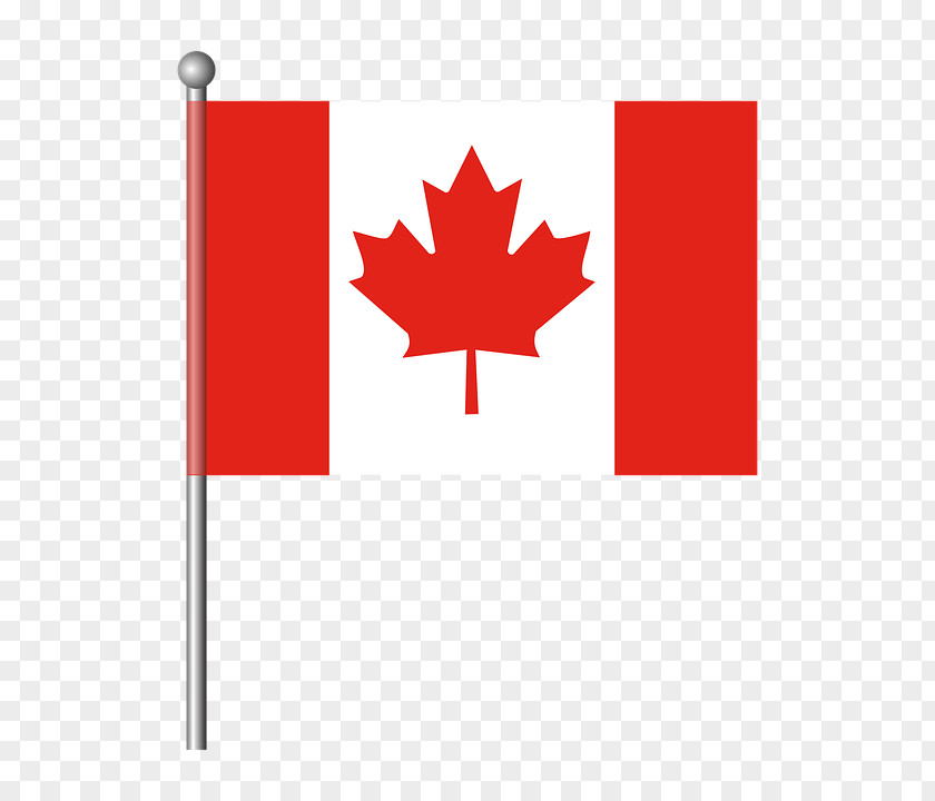 Graveside The National Flag Of Canada: A Profile Vector Graphics PNG
