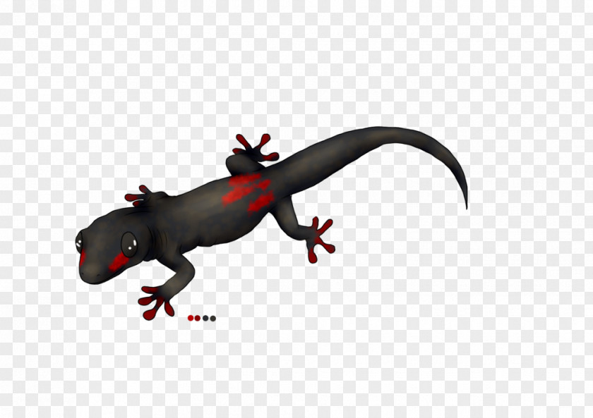 Lizard Reptile Amphibian Gecko Animal PNG
