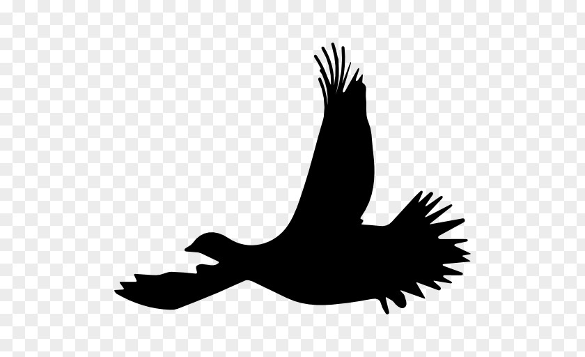 Silhouette Birds Bird Flight Ruffed Grouse PNG