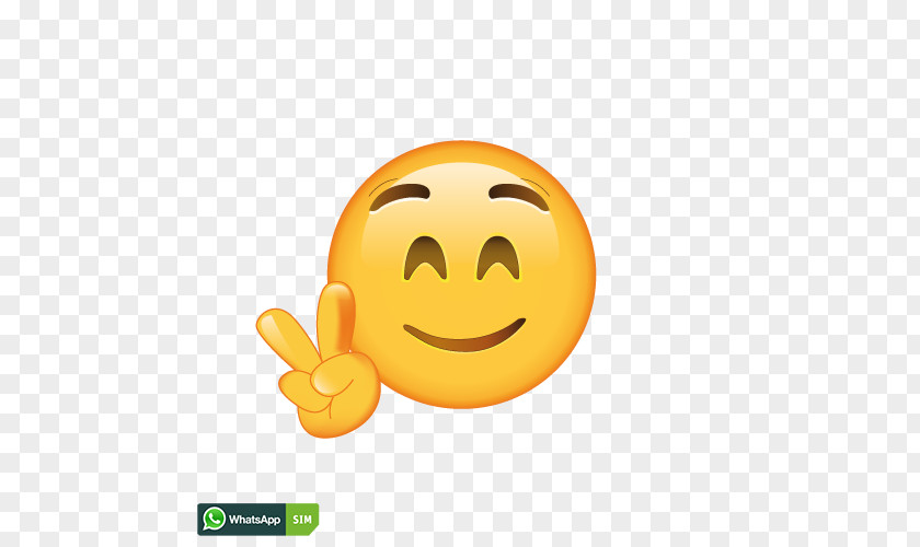 Smiley Emoticon Wink Laughter PNG