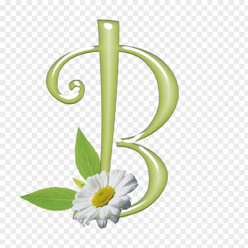 Vase Floral Design Product PNG