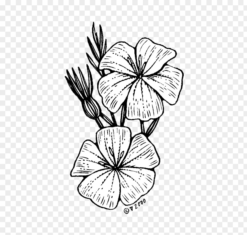 Agrostemma Githago Floral Design /m/02csf Drawing Cut Flowers PNG