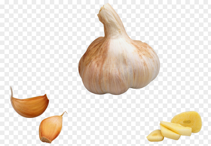 Garlic Onion Vegetable PNG