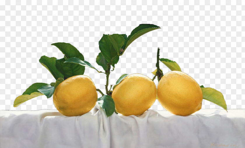 Lemon Closeup Meyer Vegetarian Cuisine Bitter Orange Citron PNG