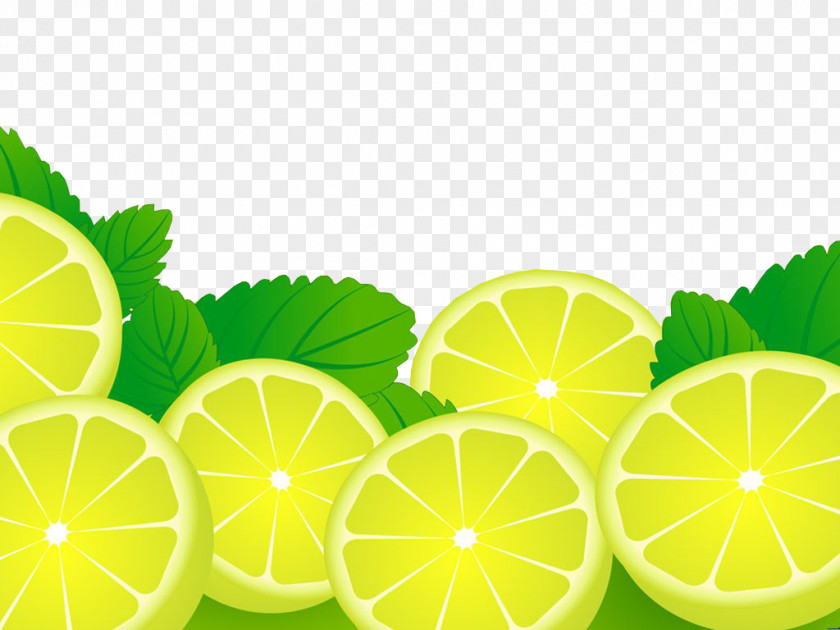 Lemon Juice Icon PNG