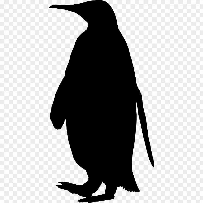Penguin Clip Art Fauna Silhouette Beak PNG