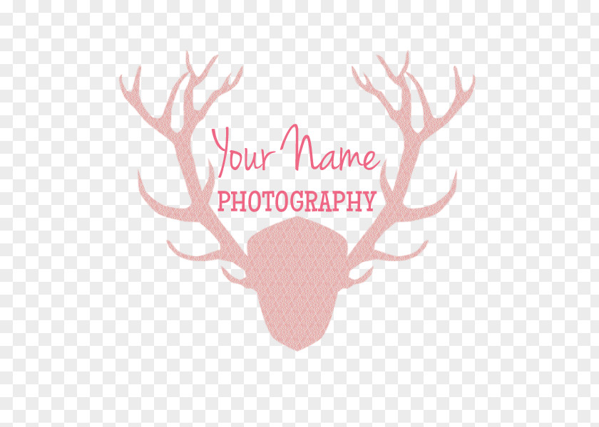 Reindeer Logo Photography Photographer PNG