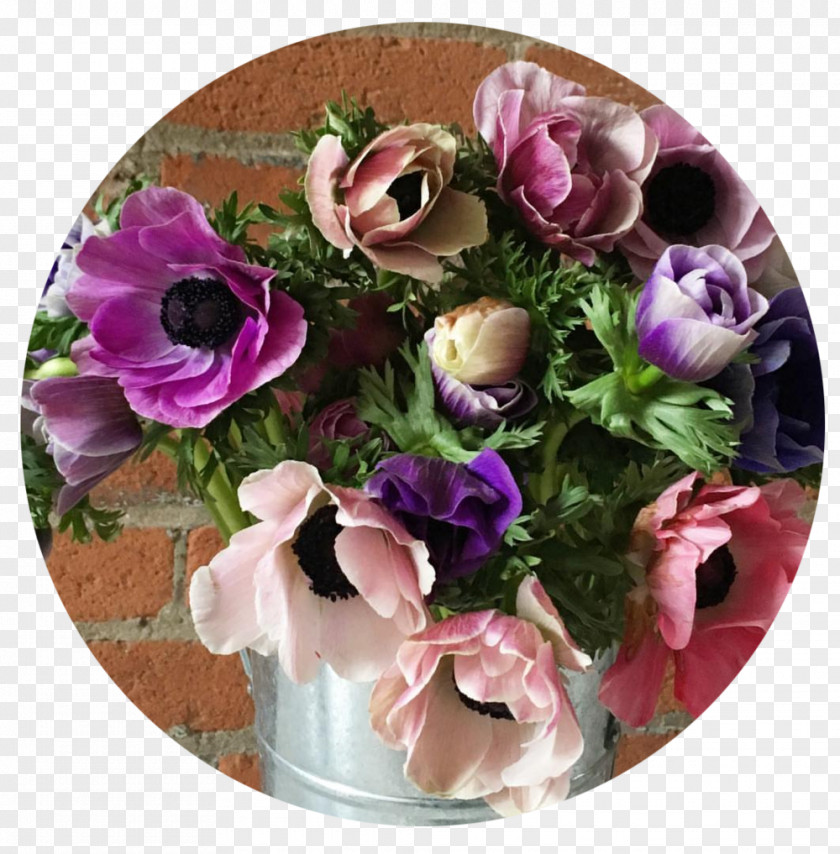 Rose Cut Flowers Floral Design VALENTINE'S DAY POP UP PNG