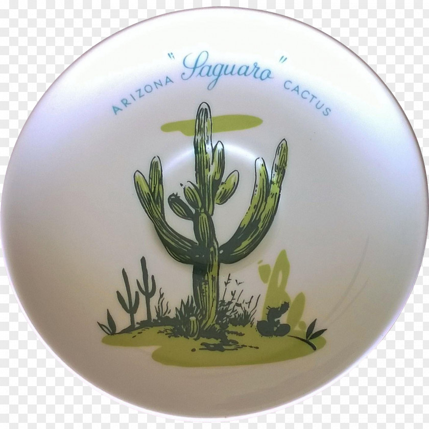 Beetle Devil's Coach Horse Plate Arizona Saucer PNG