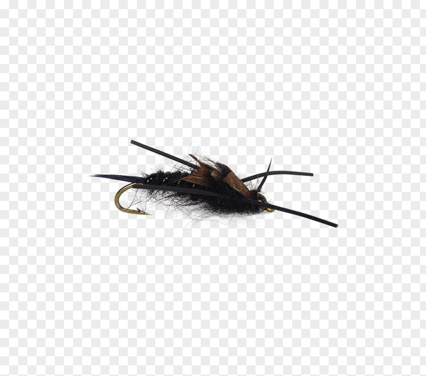 Fly Tying Insect Nymph Fishing Holly Flies PNG