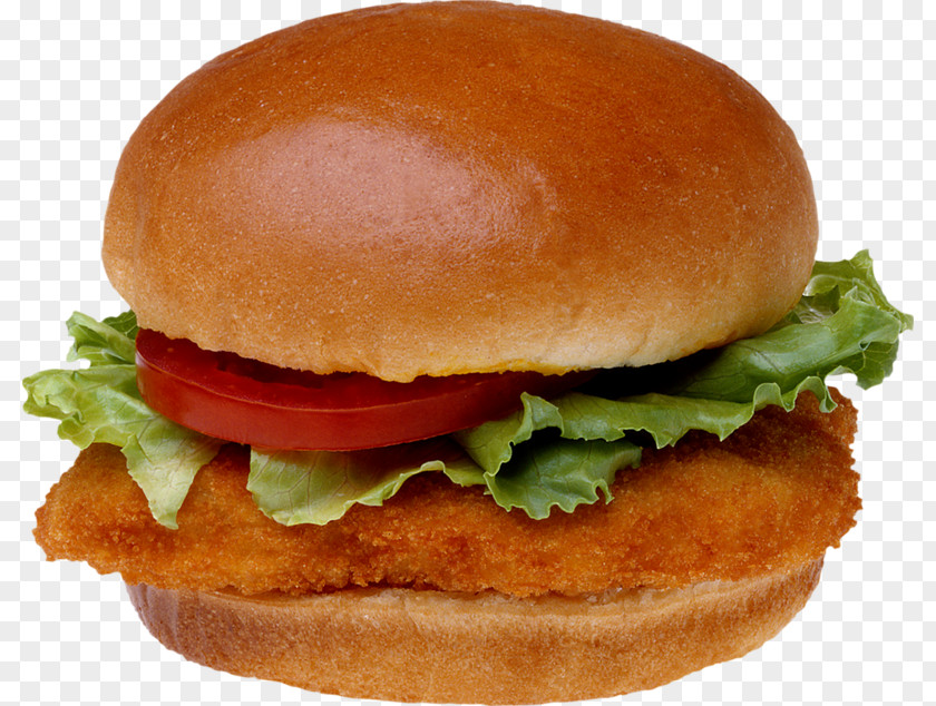Tasty Burger Hamburger Chicken Sandwich Veggie Fast Food Hot Dog PNG